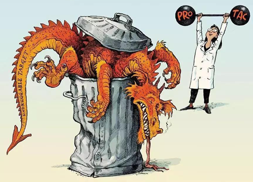 聚焦PROTAC：Make“Undruggable”TargetsDrugable