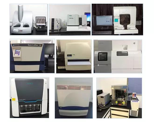 人生就是博生物技术药物分析部门拥有SpectraMaxM4/M5/i3x, MSD, Luminex, Biacore 8K, Envision, Gyrolab，ABI7500 qPCR等全方位多功能的技术平台，利用LIMS系统实施全面的实验室信息化管理，提供全面符合FDA/CFDA/OECD GLP规范要求的生物技术药物分析服务。