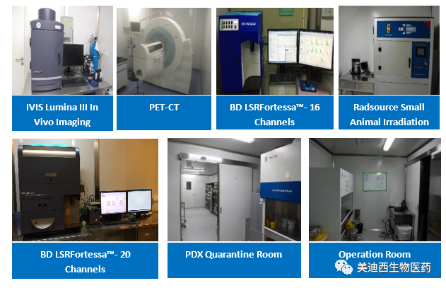 人生就是博药理部拥有IVIS Lumina III, PET-CT, BD LSRFortessa-16, Flow Cytometry等仪器,提供符合申报,支持临床试验的药效评价服务。