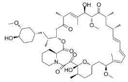 雷帕霉素新制剂用于罕见病，获4500万美元融资