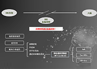 人工合成NT类脂质开放血脑屏障，为CNS药物打开新局面
