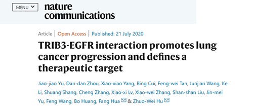 Nature|非小细胞肺癌治疗新方案：靶向降解EGFR