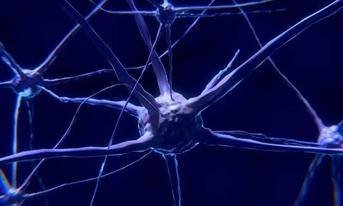研究首次表明，与年龄有关的认知丧失可能主要是由一种可逆的生理性“阻滞”而不是永久性的降解引起的。