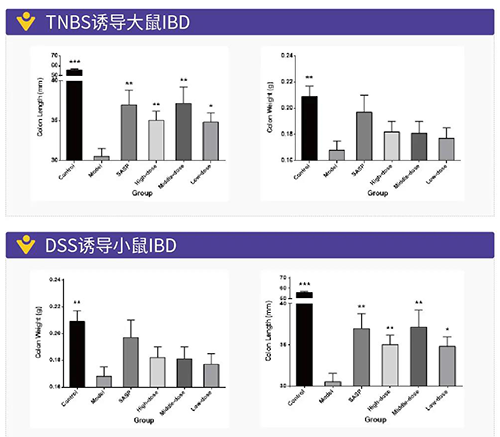 TNBS诱导的大鼠IBD、DSS诱导的大鼠IBD