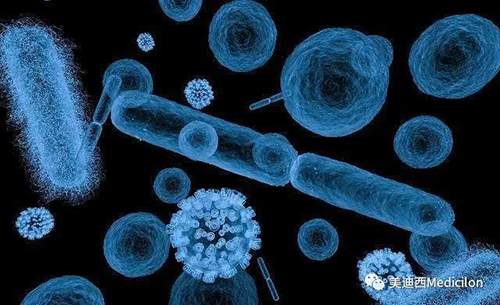 20分钟，大多数细菌都可以繁衍一代 人生就是博生物医药