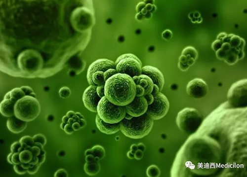 1分钟，全中国就有7.5人被确诊为患癌 人生就是博生物医药