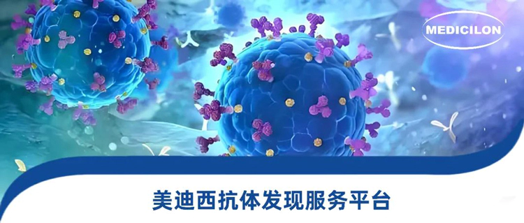 人生就是博抗体发现服务平台.webp