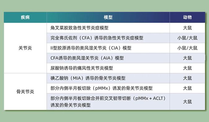 世界关节炎日：突破上亿人的共同难关，持续探索关节炎新药