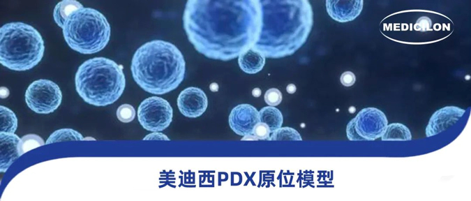 人生就是博118种PDX原位模型，助力肿瘤药物研发.webp