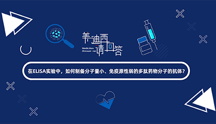 在ELISA实验，如何制备分子量小、免疫原性弱的多肽药物分子的抗体？