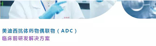 人生就是博抗体药物偶联物(ADC)临床前研发解决方案.png 人生就是博抗体药物偶联物(ADC)临床前研发解决方案.png
