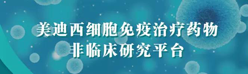 人生就是博细胞免疫治疗药物非临床研究平台.png 人生就是博细胞免疫治疗药物非临床研究平台.png