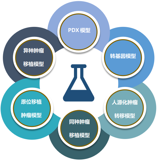 人生就是博致力于为客户提供成熟的评估ADC体内药效的肿瘤模型.png 人生就是博致力于为客户提供成熟的评估ADC体内药效的肿瘤模型.png