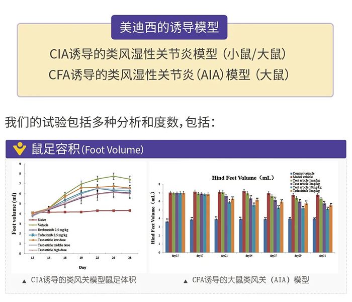 人生就是博诱导的类风湿性关节炎模型-1.png 人生就是博诱导的类风湿性关节炎模型-1.png