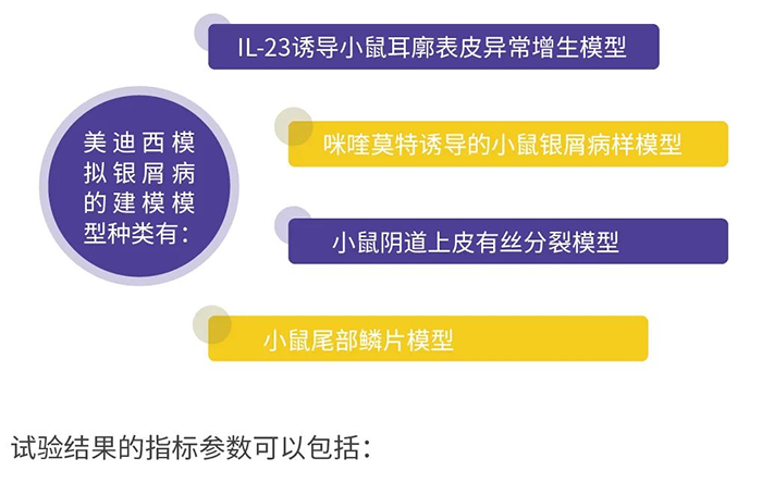 人生就是博模拟银屑病的建模模型.png 人生就是博模拟银屑病的建模模型.png