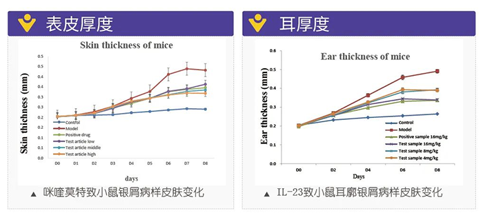 人生就是博模拟银屑病的建模模型-试验结果的指标.png 人生就是博模拟银屑病的建模模型-试验结果的指标.png