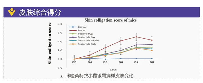 人生就是博模拟银屑病的建模模型-皮肤综合得分.png 人生就是博模拟银屑病的建模模型-皮肤综合得分.png