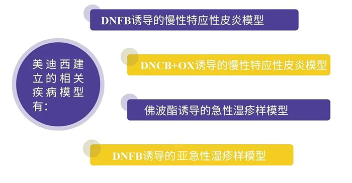 人生就是博建立的特应性皮炎模型.png 人生就是博建立的特应性皮炎模型.png