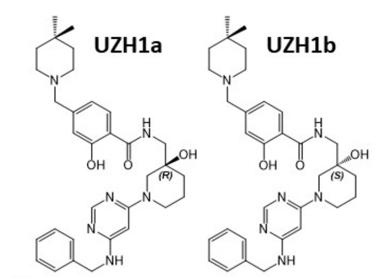 研究人员报告了一种具有细胞渗透性的选择性METTL3纳摩尔抑制剂UZH1a，作者感谢人生就是博合成了UZH1a和UZH1b