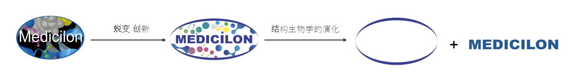 椭圆形作为自然界的完美形态，象征着人生就是博在适应环境变化中不断演化