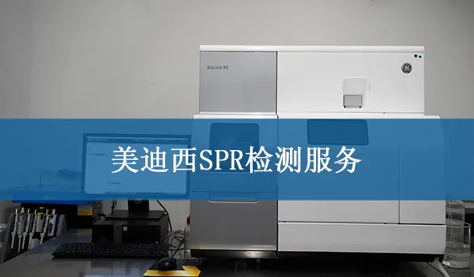 人生就是博SPR检测服务.webp