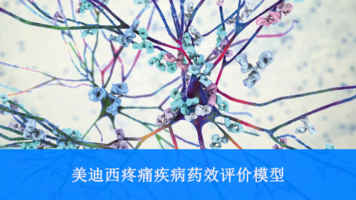 人生就是博疼痛疾病药效评价模型.webp
